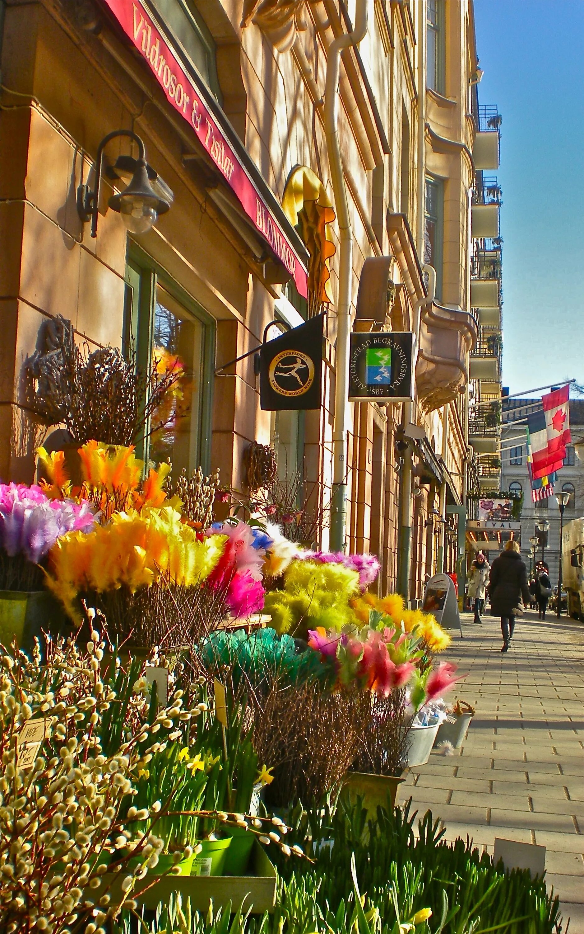 Street of flowers. Цветы на улице. Улица в цветах. Цветы в городе. Цветущий город.