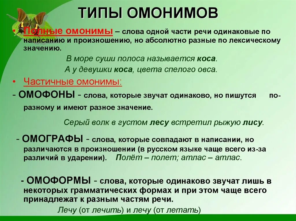 Омонимы. Типы омонимов. Омонимы 5 класс. Омонимы типы омонимов.