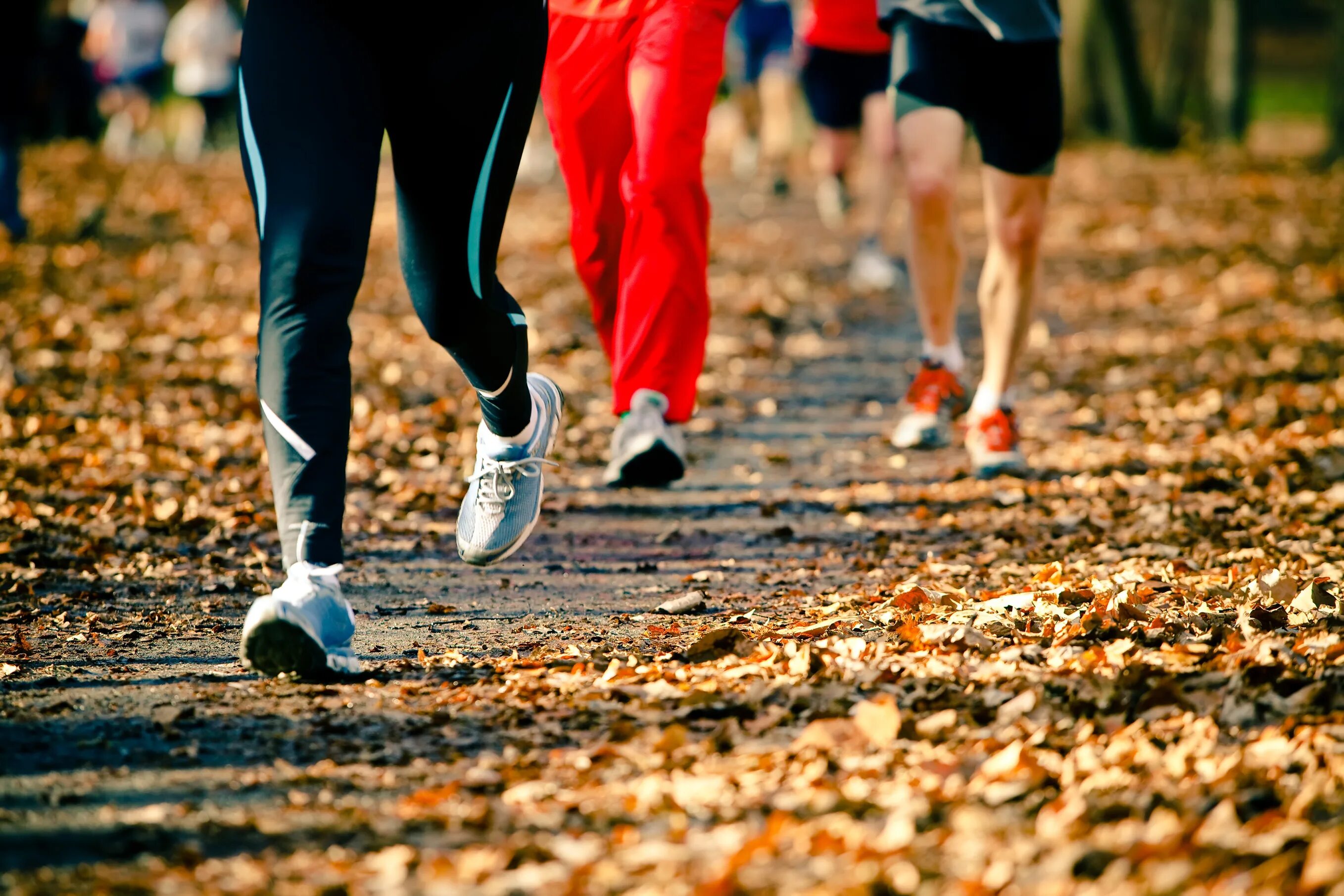 Пробежка в парке. Люди бегают в парке. Спортивный бег. Осень спорт. Run a deal