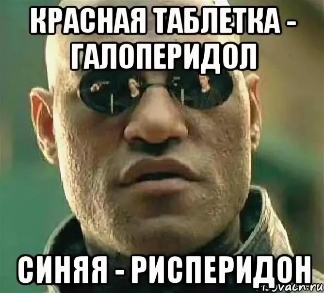 Галоперидол долго. Галоперидол приколы. галоперидол мем. галоперидол демотиваторы. галоперидол мемы.