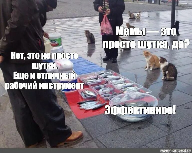 Мы просто шутим. Просто шутка. шутки это просто шутки. приколы попроще. кот мем шаблон.