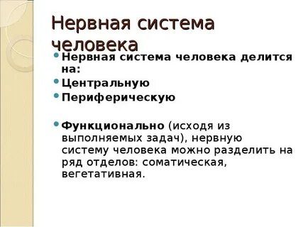 Конспект по нервной системе 9 класс