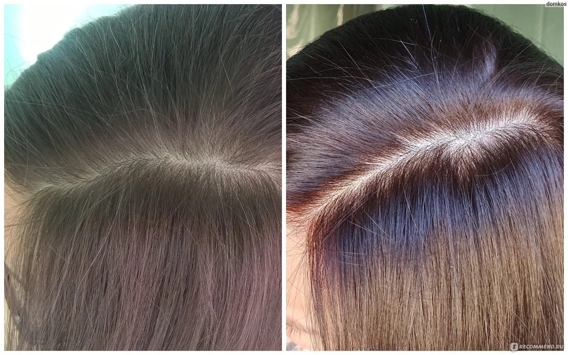 Средний каштан 500. Перфект мусс краска 500. Perfect mousse 500. Краска schwarzkopf perfect mousse 500. Перфект мусс средний каштан.