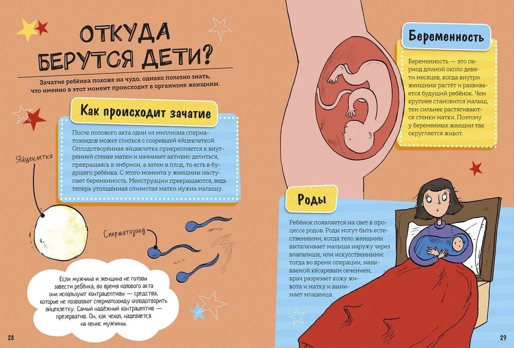 Начало зачатия ребенка