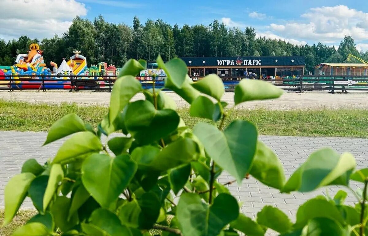 Югорский парк сургут. Парк сайма сургут 2022. Парк молодежный сургут. Самый большой каток в сургуте. Парк ботаника сургут.