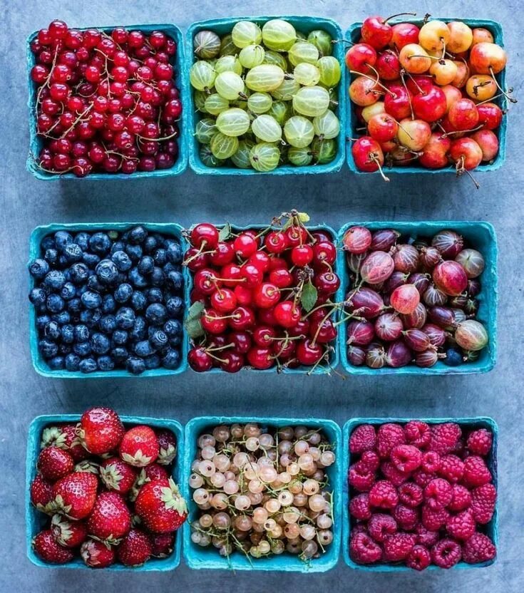 Какие ягоды фрукты в июне. Разные ягоды. Свежие ягоды. Разнообразие ягод. Опасные ягоды.