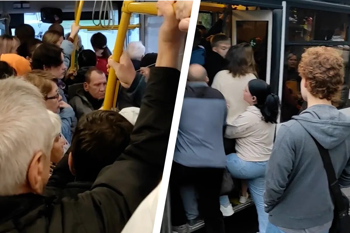 автобусы ярославль. желтые автобусы ярославль. домогательства в общественном транспорте. маршрутка уже уехала не подкините 18. маршрутка уже уехала не подкините 18.