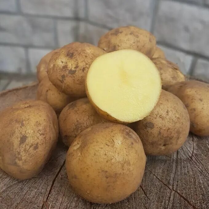 Редкие сорта картофеля. Редкие сорта картофеля. Шарвари пирошка картофель описание. Семенная картошка. Картофель сорт лабелла семенной.