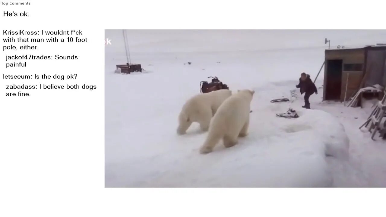 Нападение на бел. Нападение белог медведя. Нападение белого медведя на человека. Белый медведь нападает на человека. Белый медведь НАВПАДЕТ на человека.