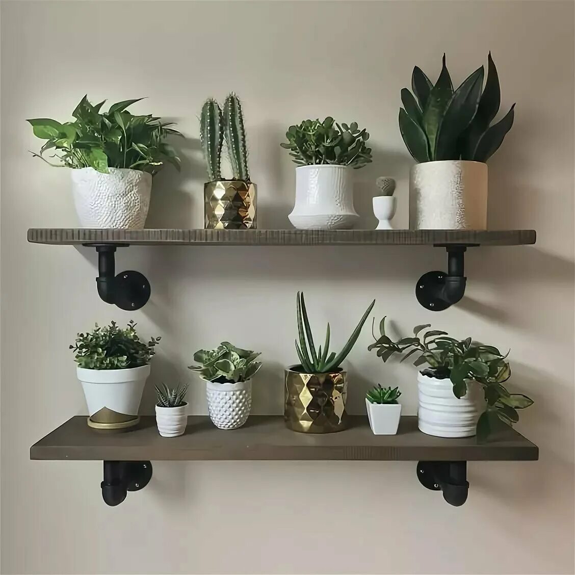 Полка настенная s 12. Полки для цветов на стену. Навесные полки для цветов. Навесная полка для цветов. Навесная полка для цветов.