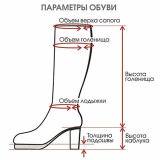 Высота женских сапог
