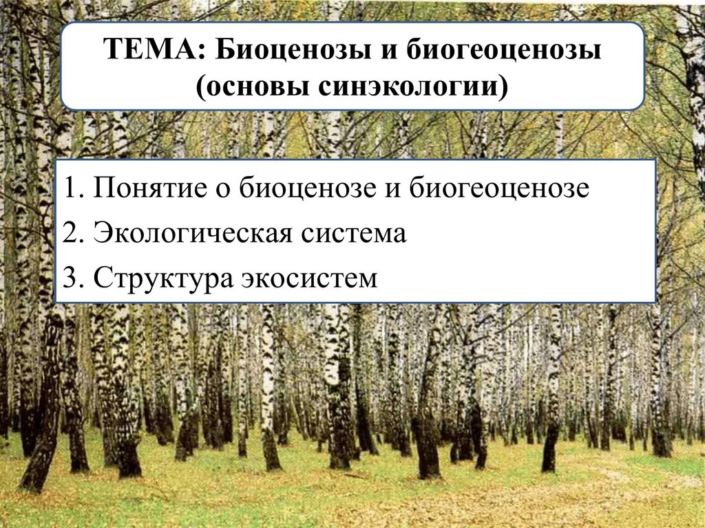 Способы снижения конкуренции между видами биоценозов. Назовите способы снижения конкуренции между видами биоценозов. конкуренция в биоценозе. биоценоз.