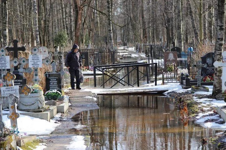 Похоронить на северном кладбище. Серафимовское кладбище в Санкт-Петербурге. Серафимовское кладбище аллея героев. Южное кладбище СПБ. Большеохтинское кладбище СПБ.