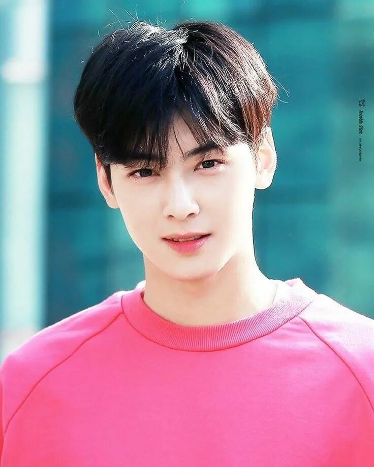 Сколько чха ын у. Чха ын-у. ча ын у astro. ( чха ) ын у - cha eun woo.
