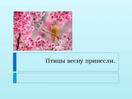 Какие птицы приносят весну