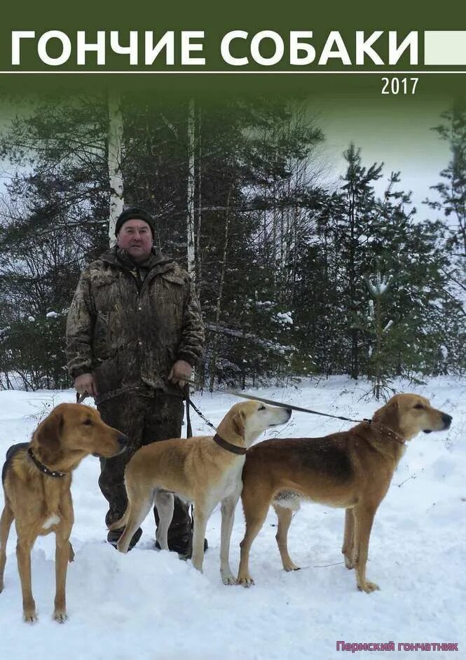 Тамбовский гончий. Тамбовский гончий