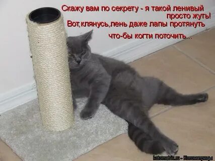 Что ты там делаешь прост
