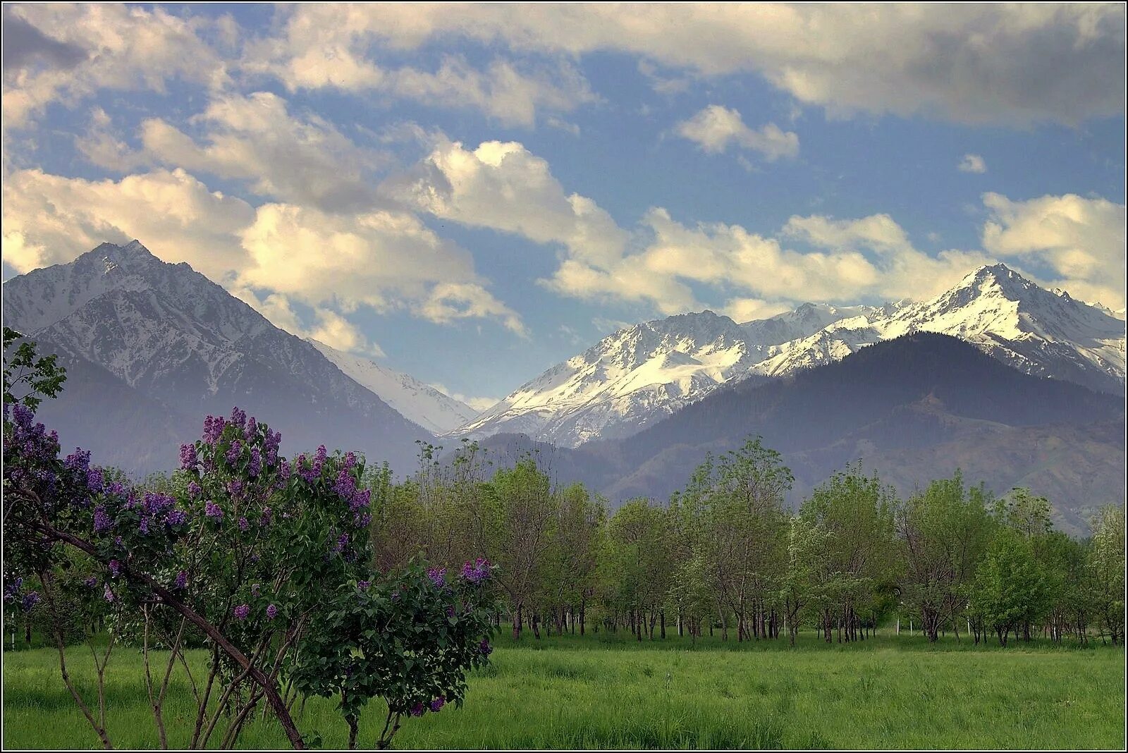 Предгорье сайт смоленского. Предгорье. Предгорье фото. Верненские предгорья. Лесное предгорье.