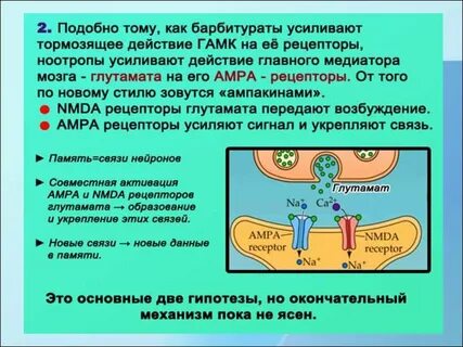 Раскройте механизм действия