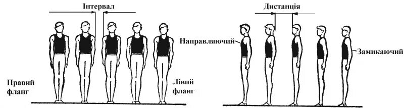 Интервал и дистанция в физкультуре. Колонна это в физкультуре. Шеренга и колонна в физкультуре. Шеренга колонна интервал дистанция. Как называется правая левая оконечность строя физкультура