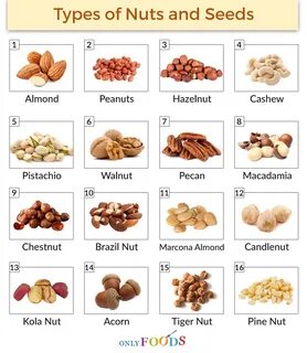 30 Types Of Nuts And Seeds Complete List And Guide 2022 Northern Nester Ima...