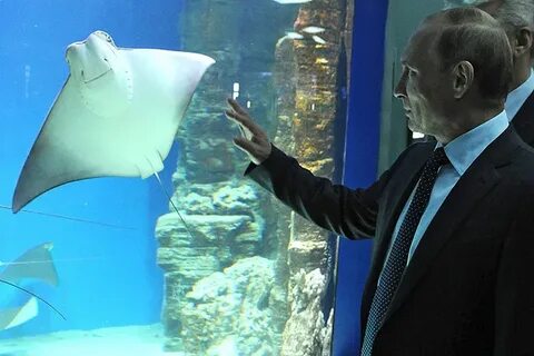 Центр океанографии и морской биологии