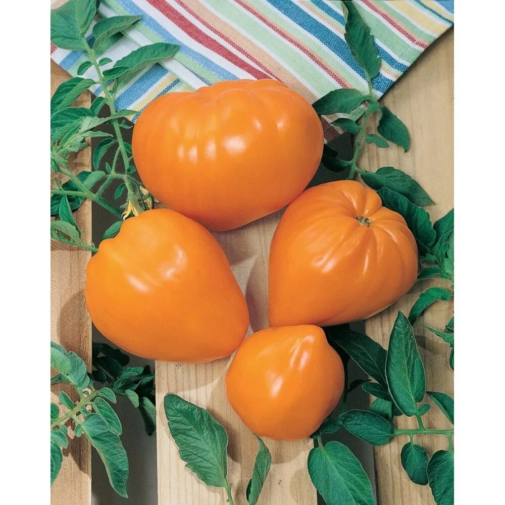 Сорт томата оранжевая клубника. Томат Бычье сердце оранжевое. Томат Бычье сердце. Семена томат оранжевое сердце. Томаты оранжевые лучшие сорта.