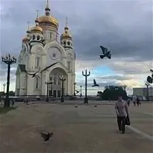 🕊 Ксения Осадчая 🕊 