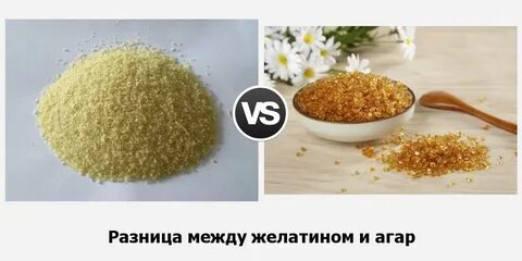 Чем заменить желатин