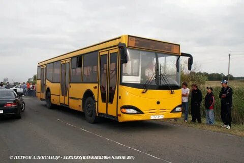 Каргаполье курган автобус на завтра