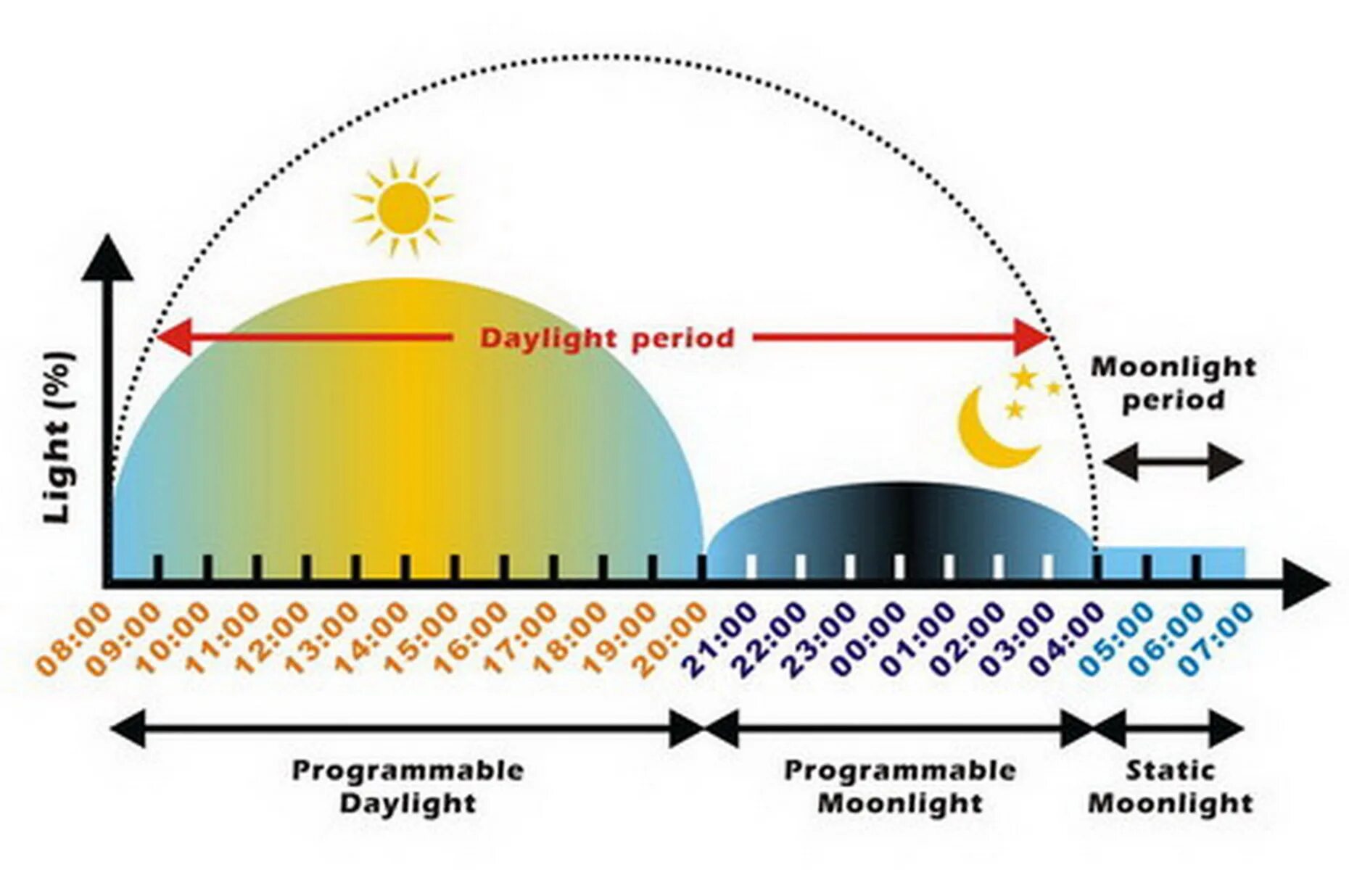Световой день. Изменение светового дня. Уменьшение светового дня. Изменение светового дня в течение года.