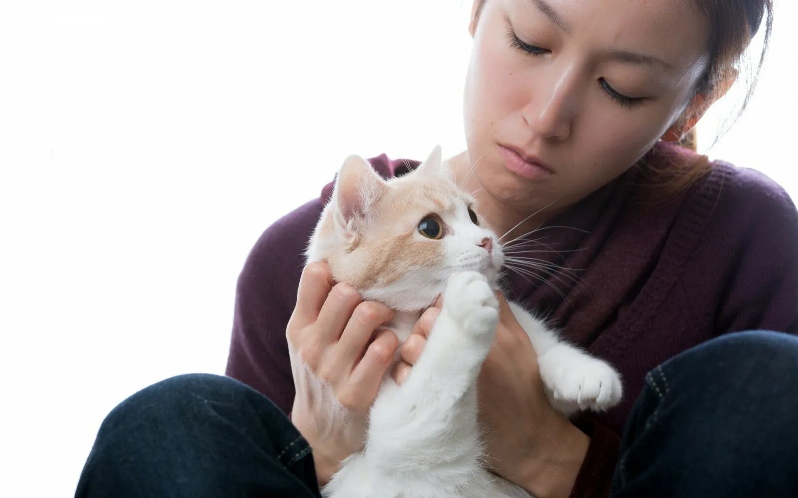 Кот дремот девушка. Девушка с котиком. азиатские девушки. корейская девушка с котенком. девушка с котом на руках.