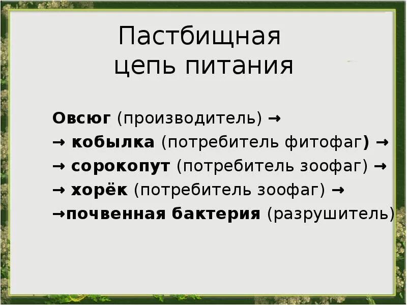 Цепи пастбищного типа. Детритная и пастбищная цепь. Пастбищная и детритная пищевые цепи. Пастбищные и детритные цепи питания. Пастбищная цепь питания.