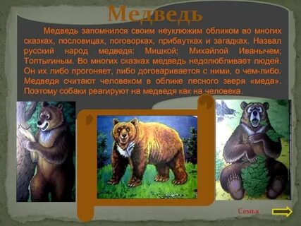 Как называется сказках медведя