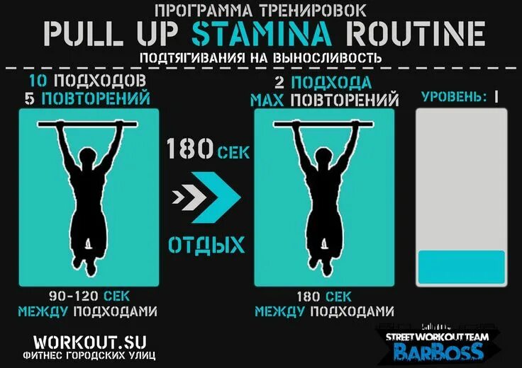 25 подтягиваний. Подтягивания на выносливость. Тренировка подтягиваний. Подтягивания на выносливость программа. Подтягивания программа тренировок.