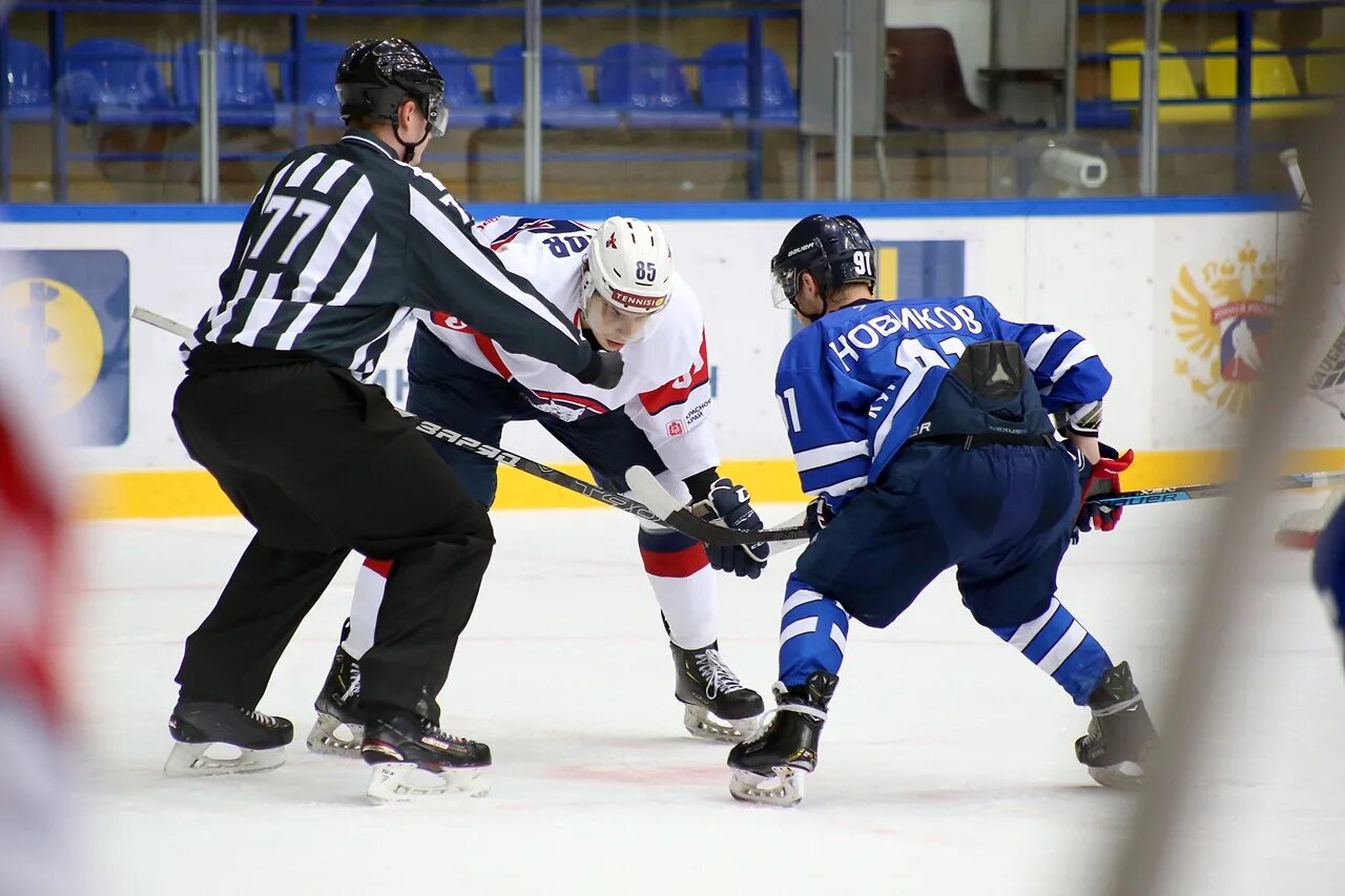 клуб соколы красноярск. хоккейная команда сокол красноярск. хк сокол красноярск. хк сокол красноярск вхл. хк сокол красноярск логотип.