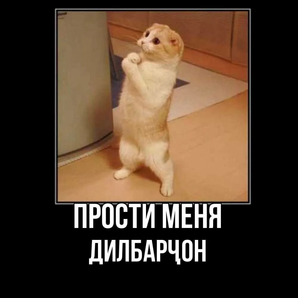 Бабушка просит прощение. Фредерик бакман бабушка велела. Фредерик бакман бабушка велела кланяться. Бабушка просит прощения и велела кланяться. Бабушка просит прощение.