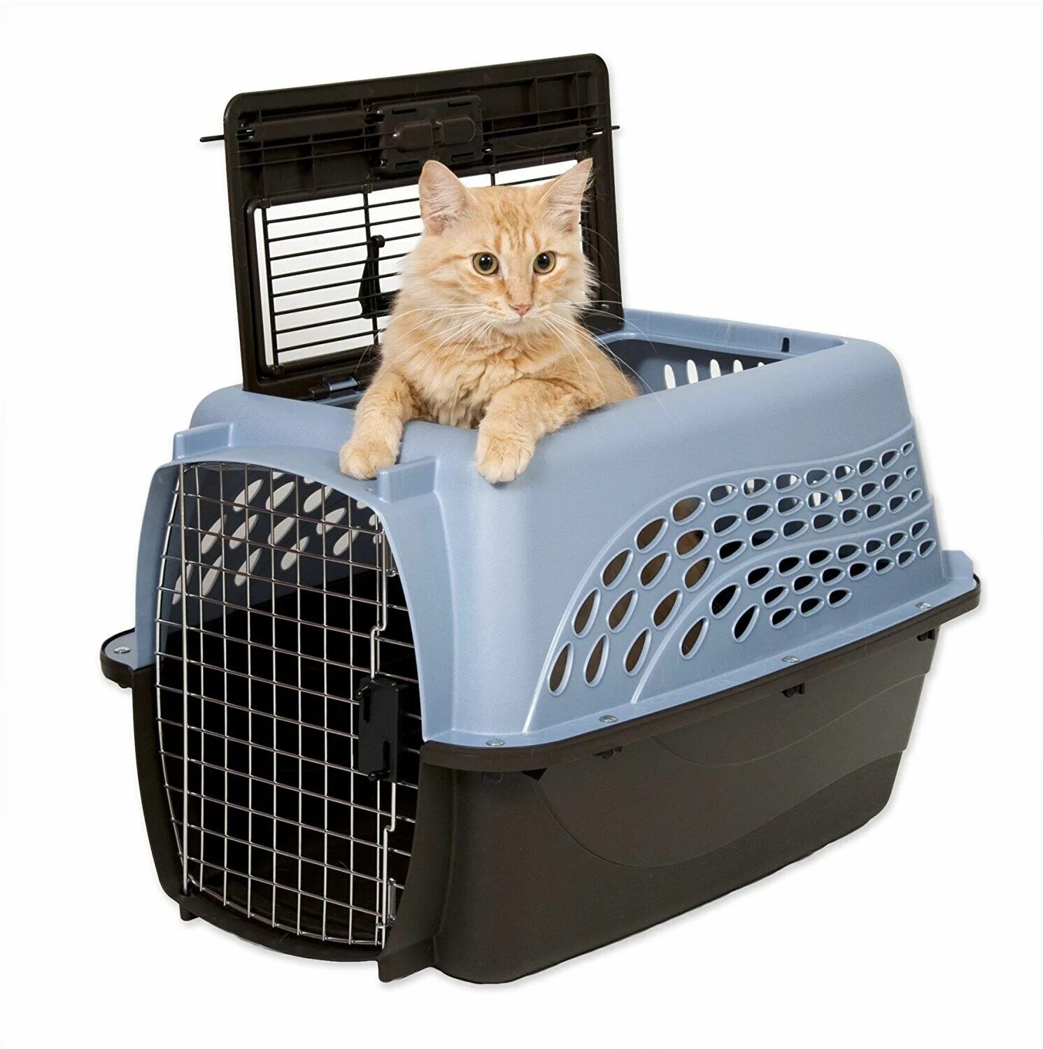 Переноска Cat Carrier. Cat Carrier переноска для кота. Pet Shuttle переноска. Переноска перевозка для кошек. Какая переноска для кошек лучше
