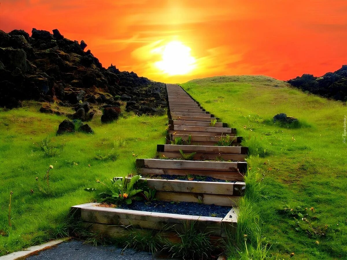 My new step. Лестница вверх. Ступени в горах. Дорога путь. Ступеньки в гору.