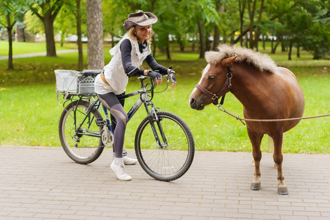 Вело лошадка. Конь на велосипеде. Лошадка велосипед. Фотосессия с велосипедом и лошадью. Конни и велосипед.