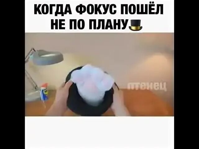 Фокус пошел не по плану