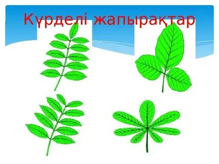 Қызы мен әкесі орысша ауызша секс жасаған