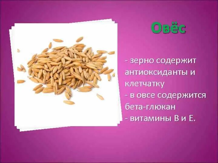 Овес состав. Витамины в овсе. Овес витамины и микроэлементы. Какие витамины содержит овес. Витамины в зерне.