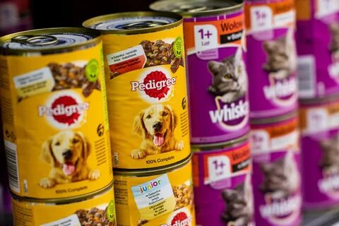 Cans dog