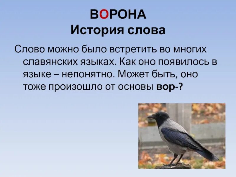 Лексическое слово черный. Предложение про ворону. Предложение о вороне. Слово ворона. Работа со словарным словом ворона.