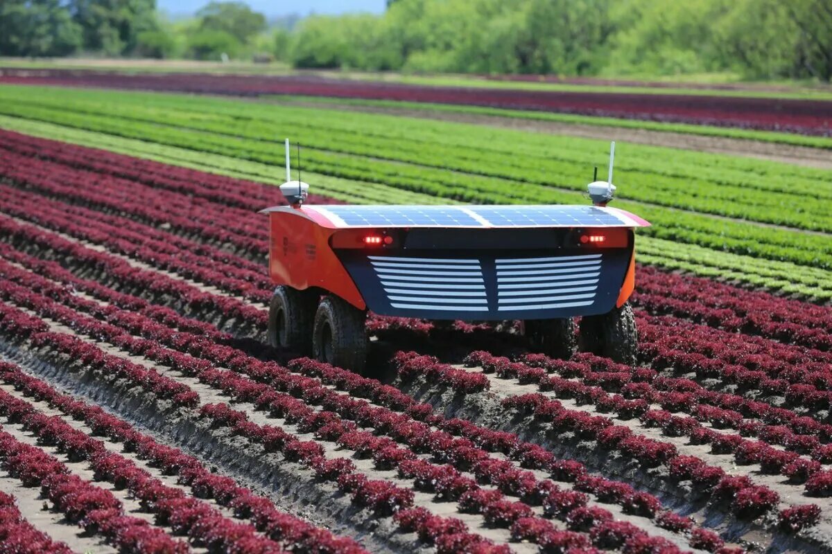 Сельскохозяйственные роботы. Технологии в сельском хозяйстве. Сельское хозяйство будущего. Роботизация сельского хозяйства.