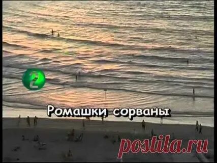 Караоке ромашки спрятались поникли