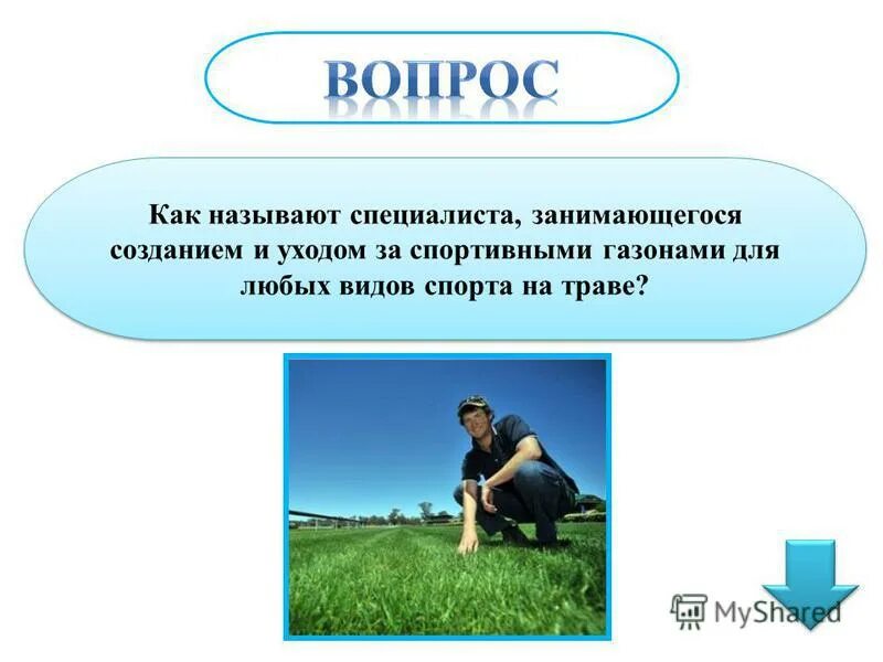 Блиц опрос. Как называется эксперт. Как зовут всех специалистов. Как называется эксперт. Как называют специалиста по программным обеспечением.
