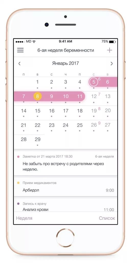 Календарь беременности приложение. Календарь беременности по неделям. Приложение беременность по неделям. Беременность по неделям рассчитать.