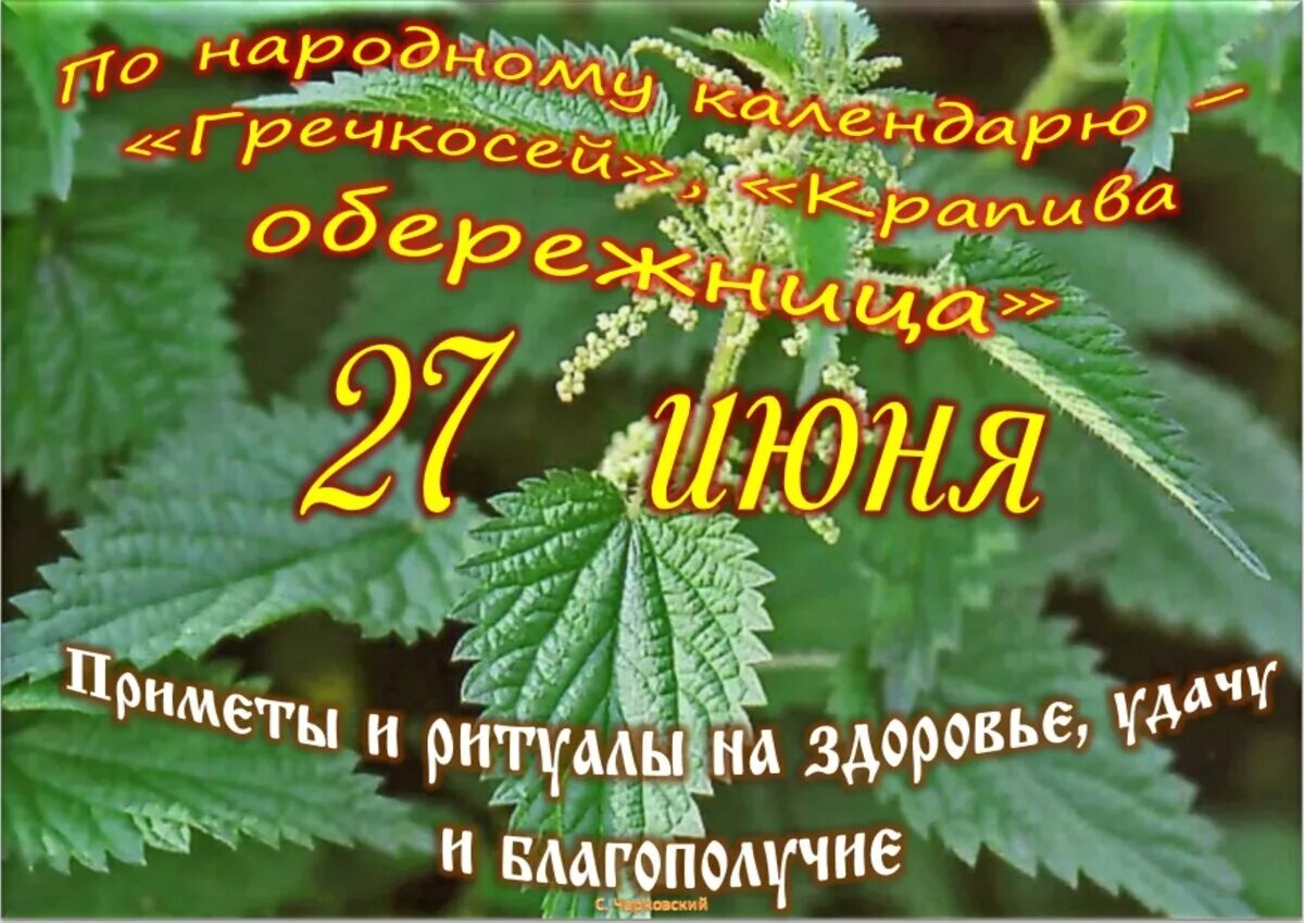 27 Июня праздник. 27 Июня календарь. 28 Июня праздник. Какой сегодня праздник 27 июня.